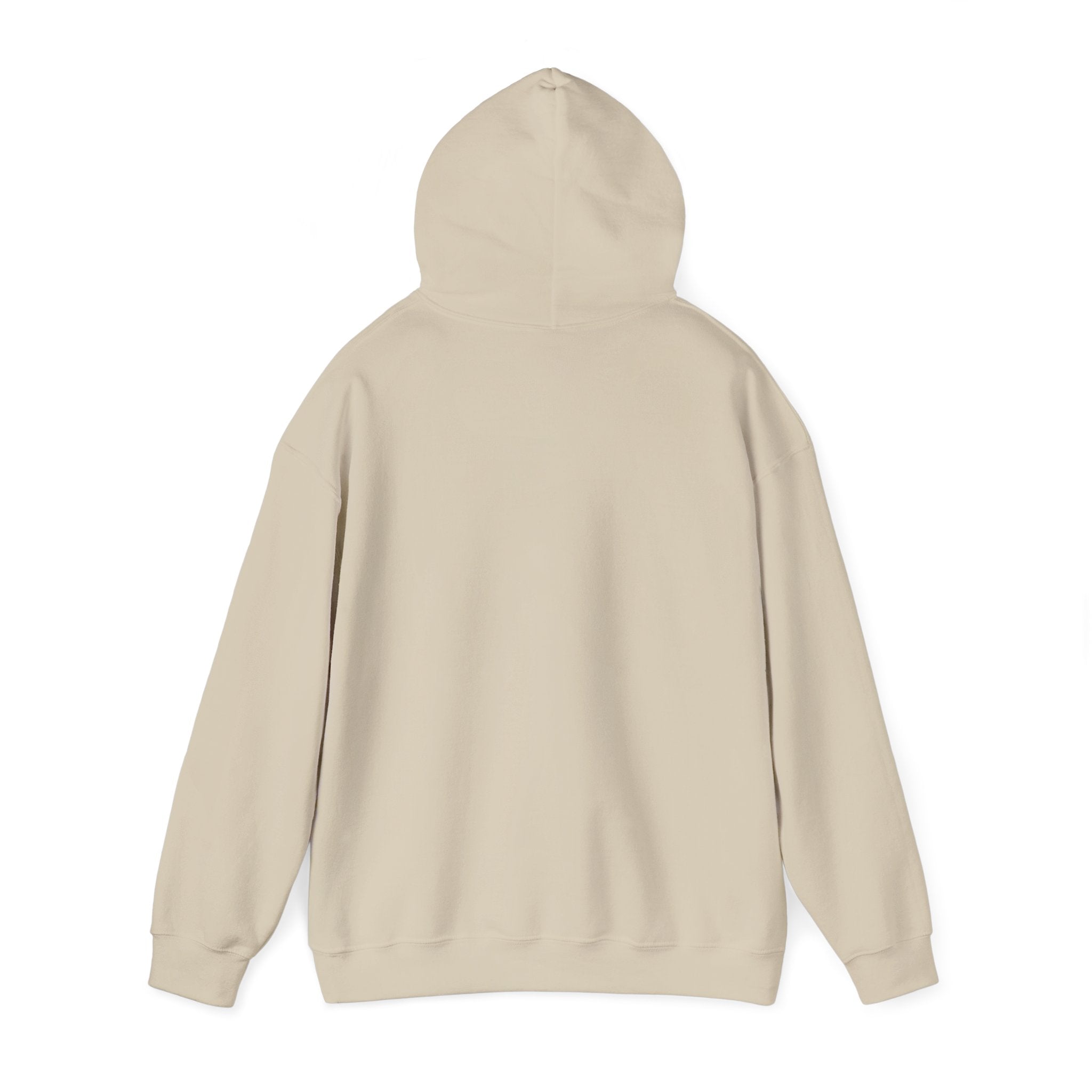 Sunny Retro Sunset Hoodie | summer aesthetic, coastal vibes