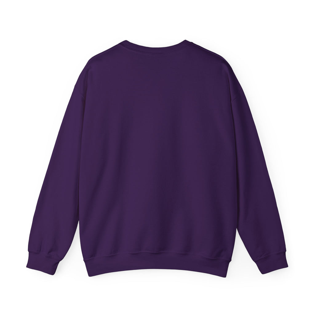 Crewneck Sweatshirt - 'Too Cool to Be Nice' Retro Bear Streetwear
