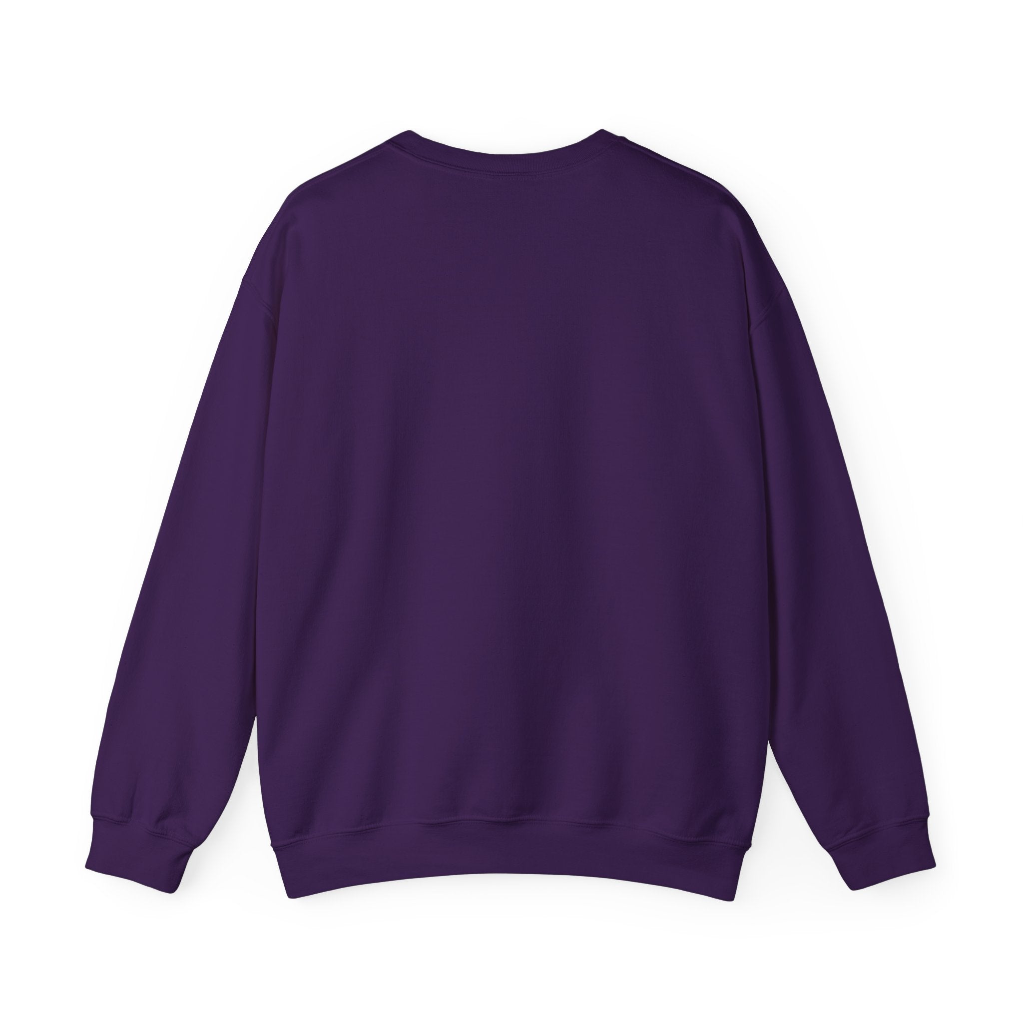 Crewneck Sweatshirt - 'Too Cool to Be Nice' Retro Bear Streetwear