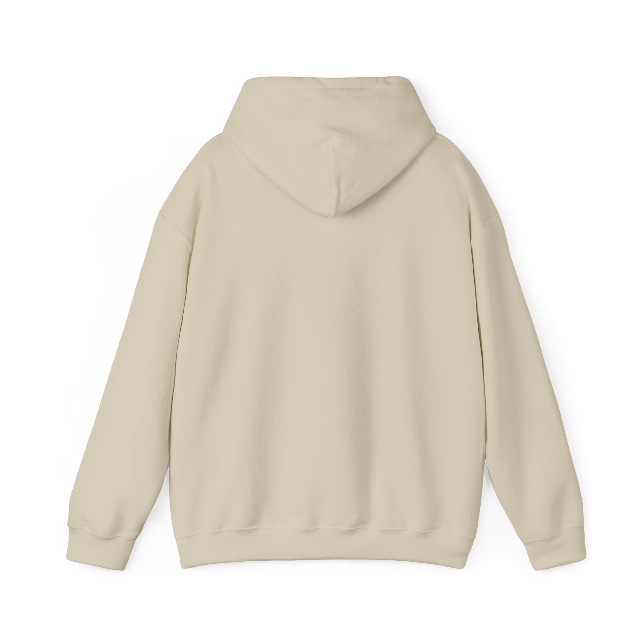 Sunny Retro Sunset Hoodie | summer aesthetic, coastal vibes