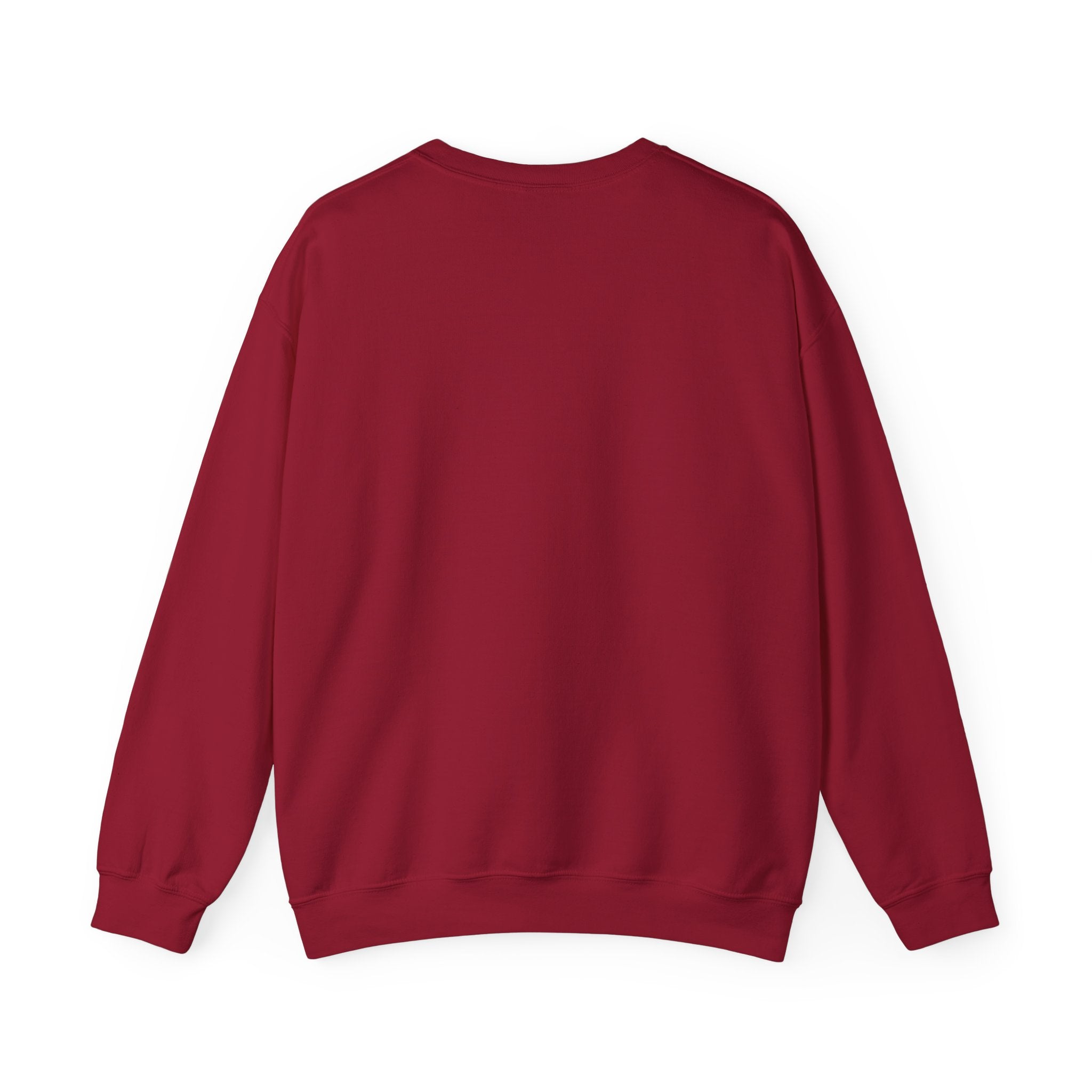 Crewneck Sweatshirt - 'Too Cool to Be Nice' Retro Bear Streetwear